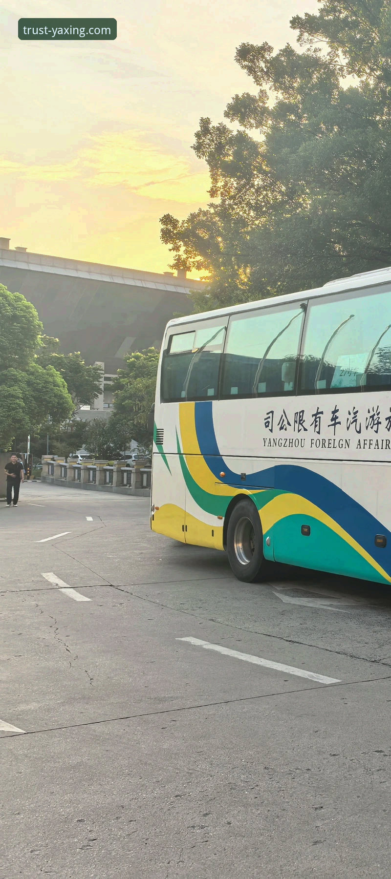 亚星体育平台：查看亚星客车用户评价安卓版完整指南